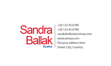 Load image into Gallery viewer, Remax